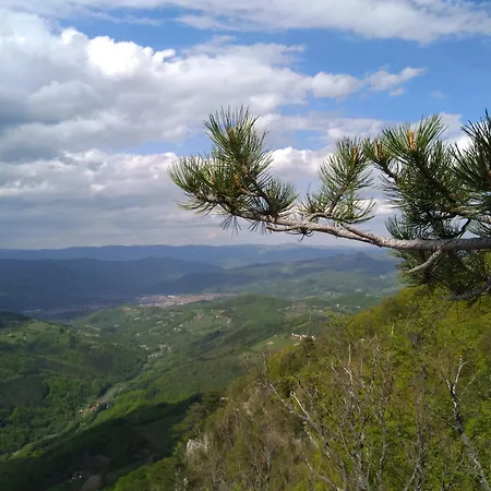 Viola I Detelina Apartman Perućac