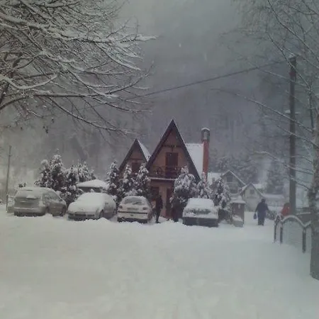 Apartman Viola I Detelina *