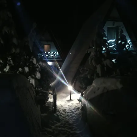 Viola I Detelina Perucac