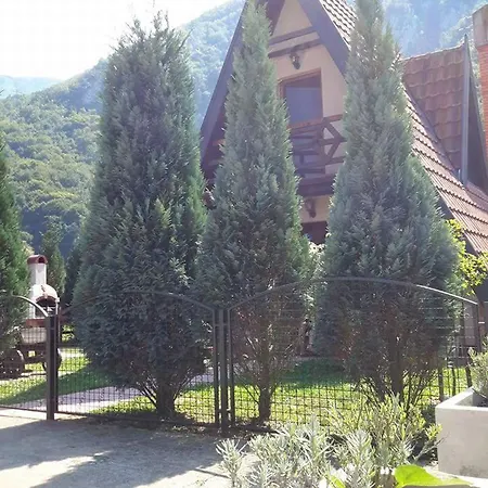 Viola I Detelina Perucac
