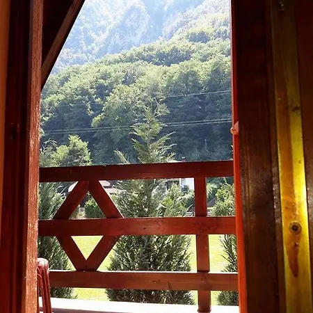 Apartman Viola I Detelina *