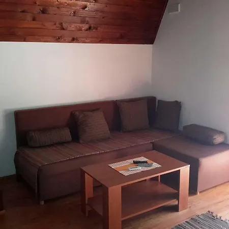 Viola I Detelina