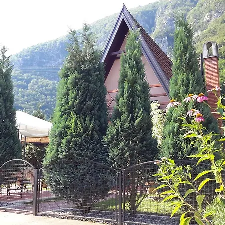 Apartment Viola I Detelina *