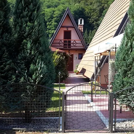 Viola I Detelina Perucac