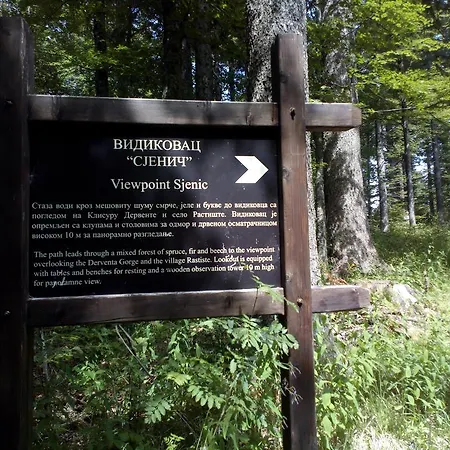 Viola I Detelina