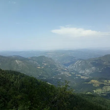 Viola I Detelina Perucac