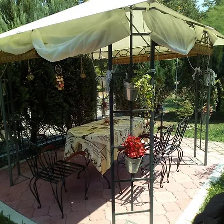 Viola I Detelina Perucac