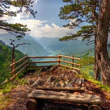 Viola I Detelina Perućac