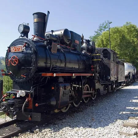 Viola I Detelina Perucac