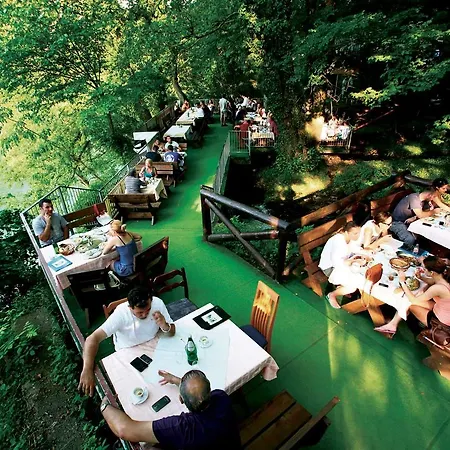 Viola I Detelina Apartment