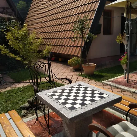 Viola I Detelina Perucac