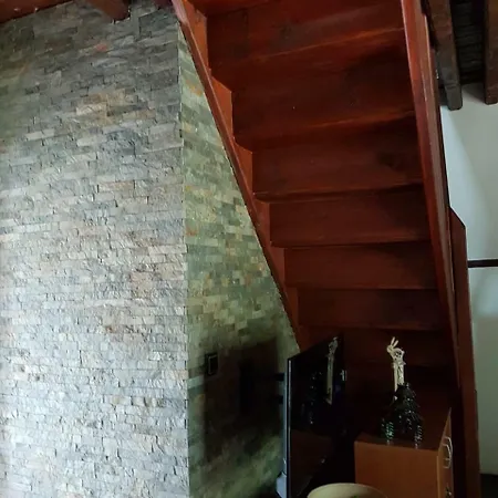 Viola I Detelina *