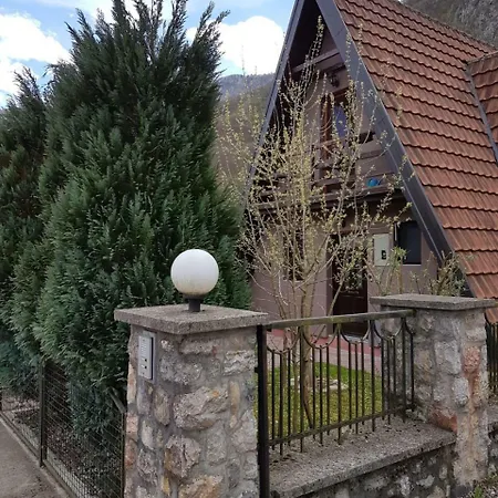 Viola I Detelina