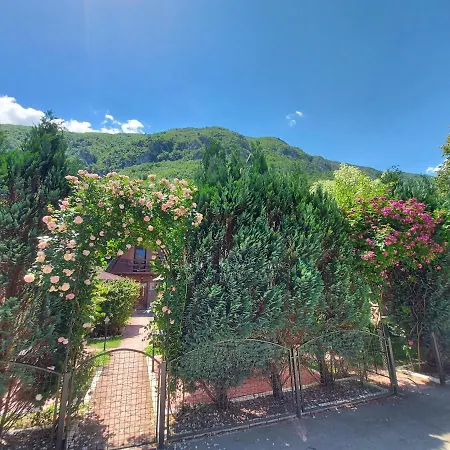 Viola I Detelina Perucac