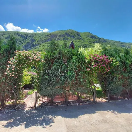 Viola I Detelina * Perucac