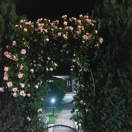 Viola I Detelina Apartament *