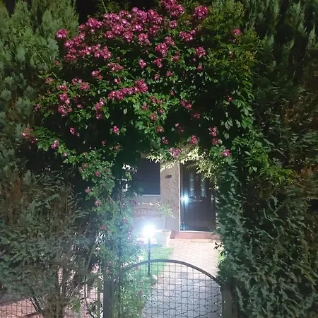 Viola I Detelina Apartment