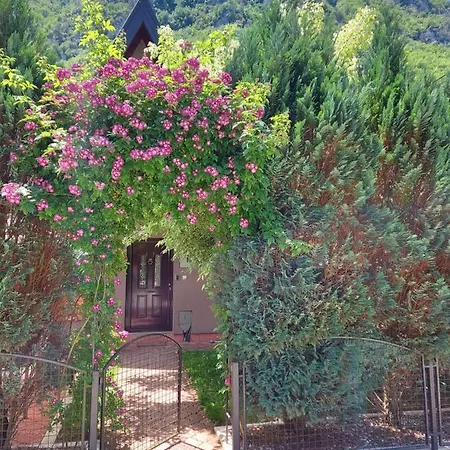 Viola I Detelina Apartman Perućac