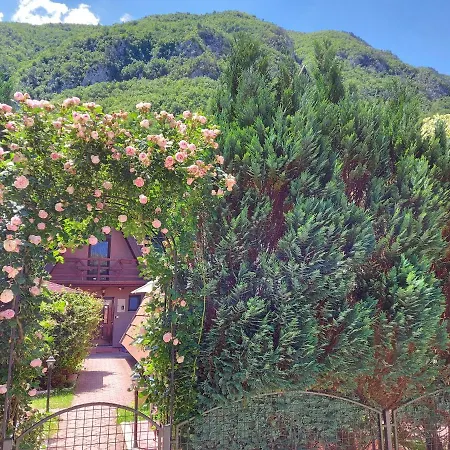 Viola I Detelina * Perućac